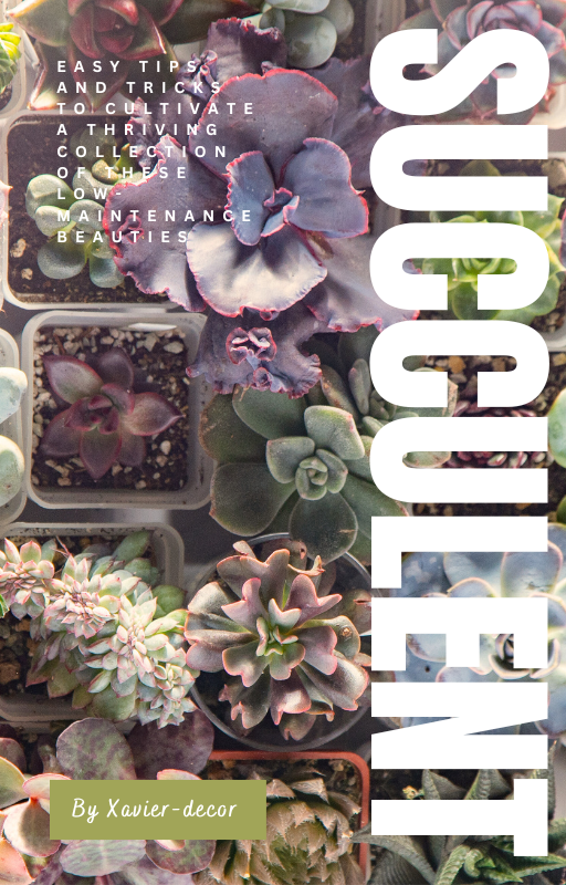 Succulent Obsession guide