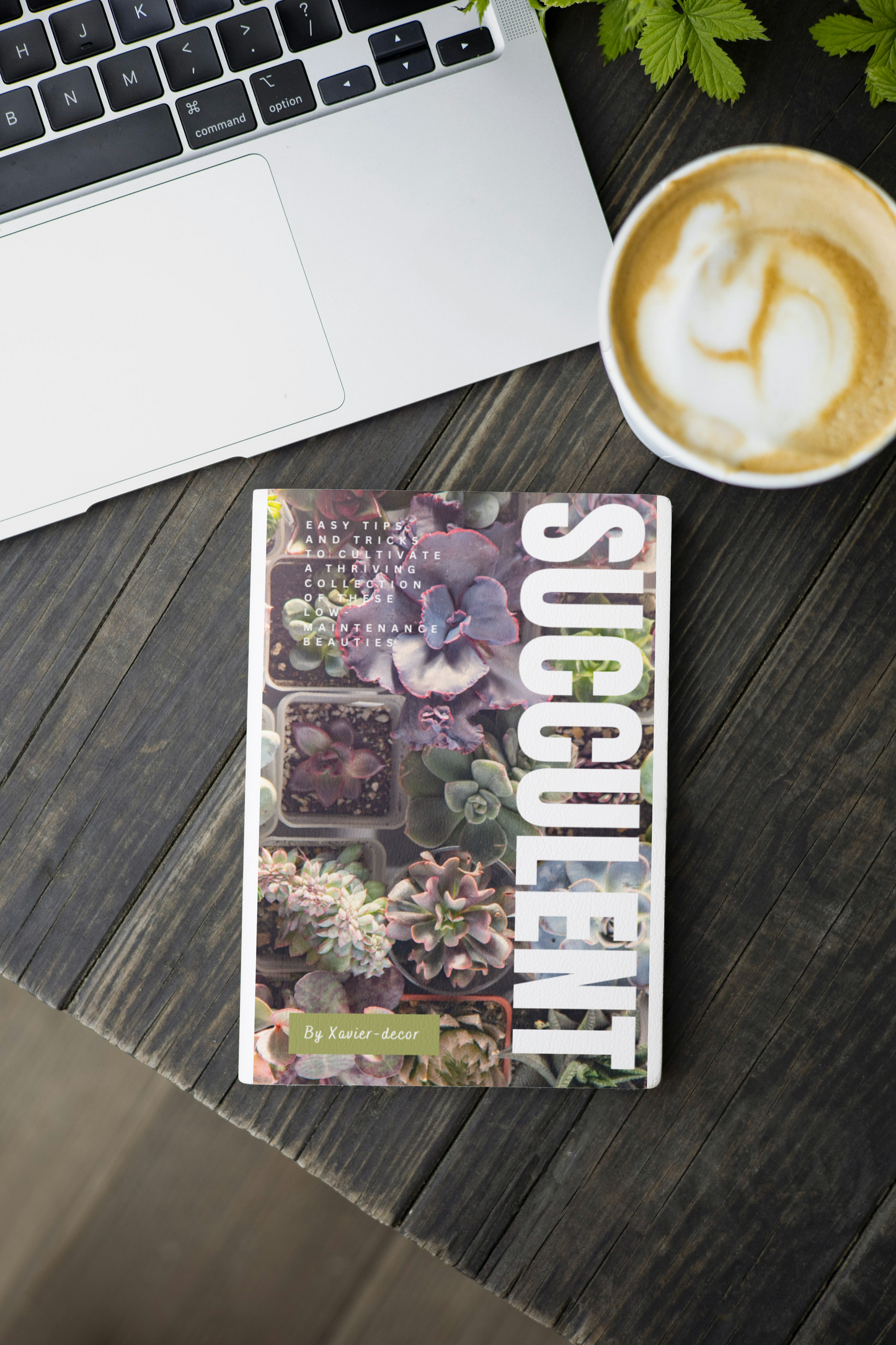 Succulent Obsession guide